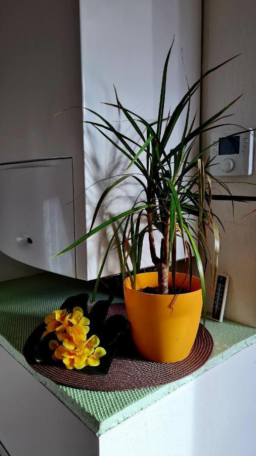 Apartement *Harzblick* Nordhausen Exteriör bild